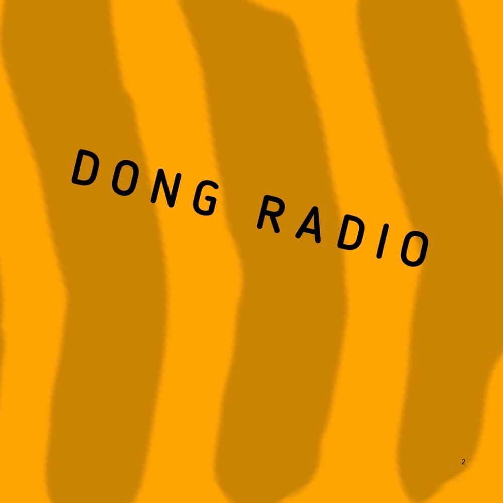 DongRadio logo
